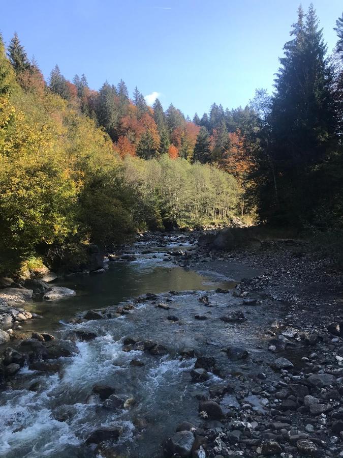 Ferienwohnung Morgentau Am Rande Der Wildnis Sibratsgfäll 外观 照片