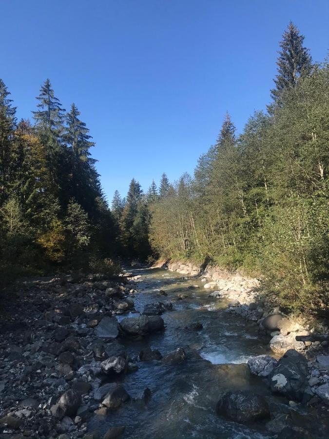 Ferienwohnung Morgentau Am Rande Der Wildnis Sibratsgfäll 外观 照片